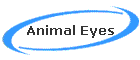 Animal Eyes