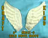 ANGEL-C.jpg (18957 bytes)