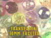 FAC-10-TRANSPARENT.jpg (82833 bytes)