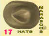 HAT-17.jpg (131497 bytes)